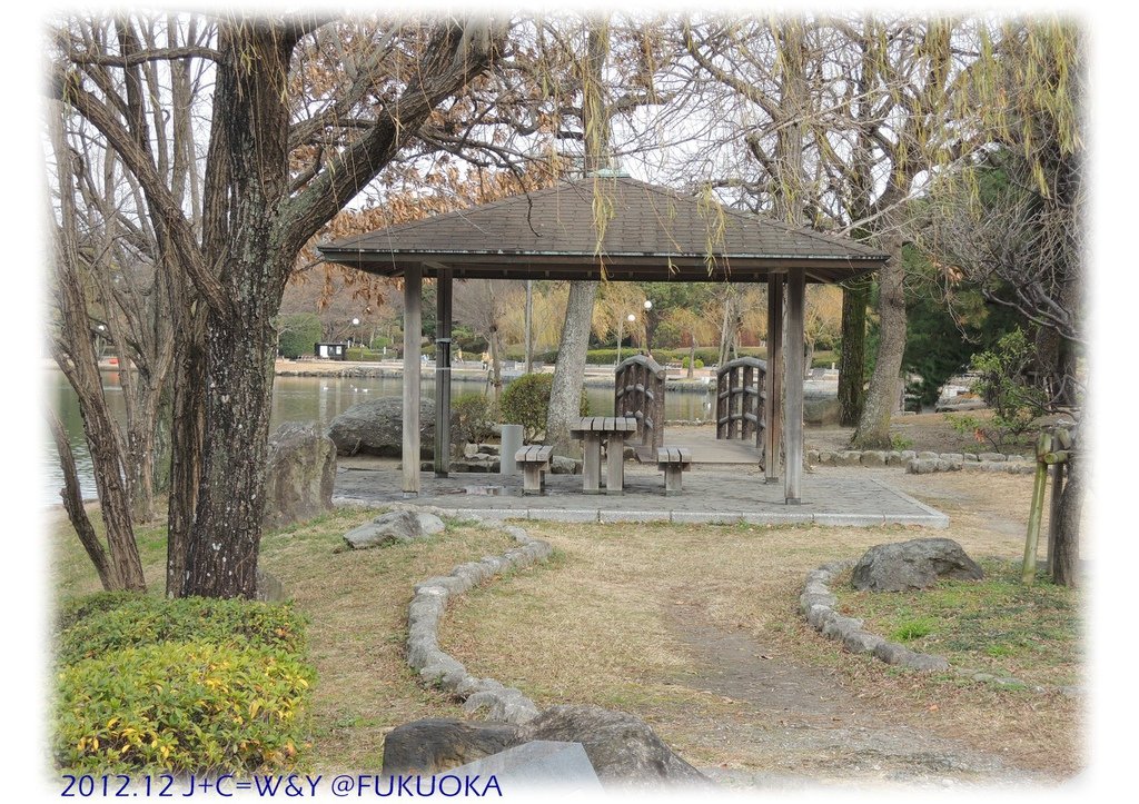 12.29 大濠公園 27
