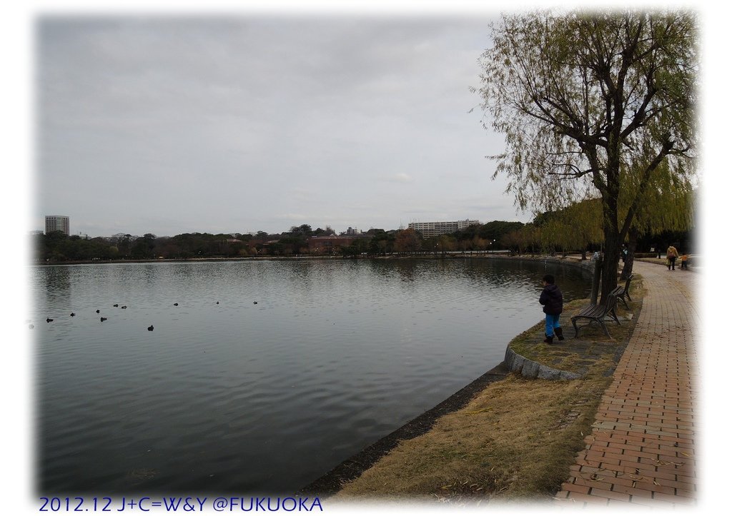 12.29 大濠公園 33