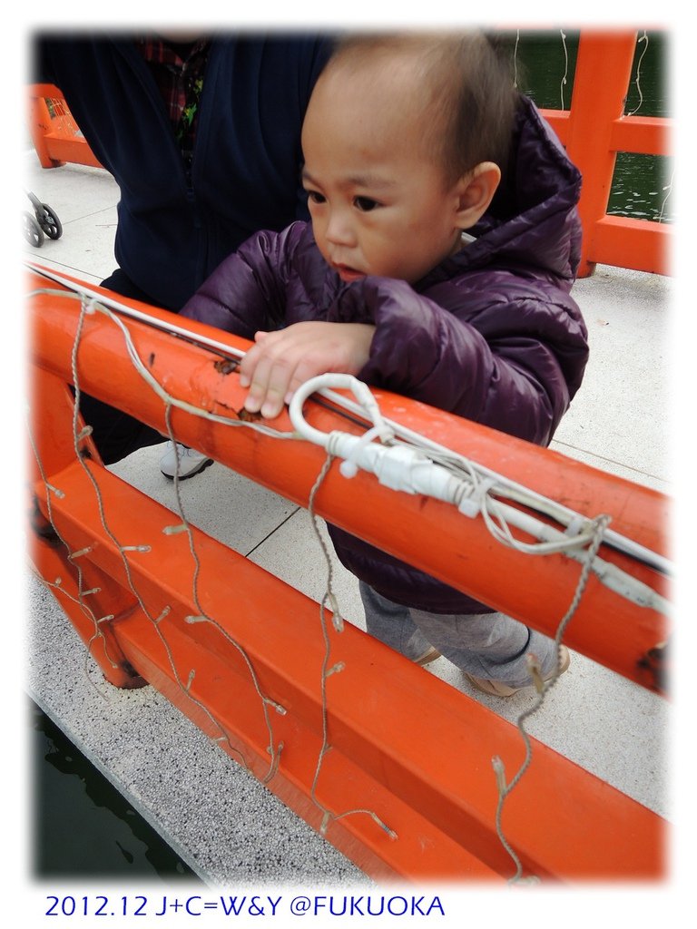12.29 大濠公園 43