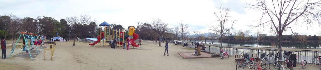DSC05785