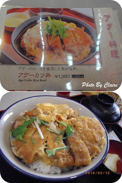 2.12王國村午餐2.jpg