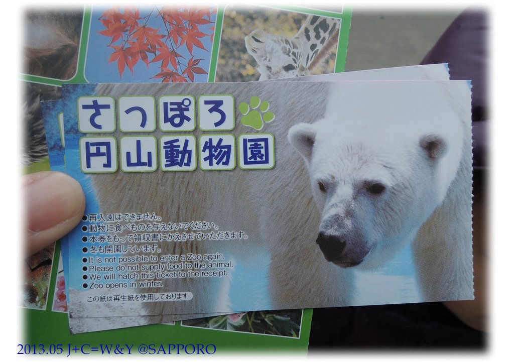 05.13 円山動物園 10.jpg