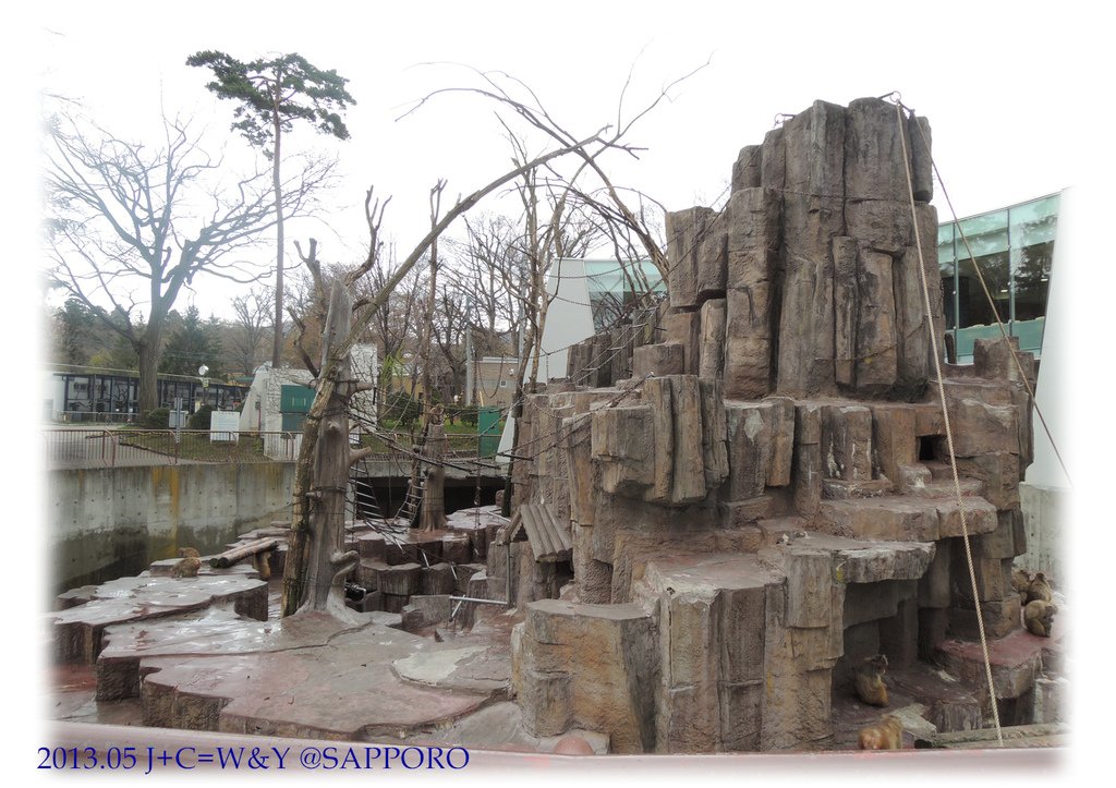05.13 円山動物園 21.jpg
