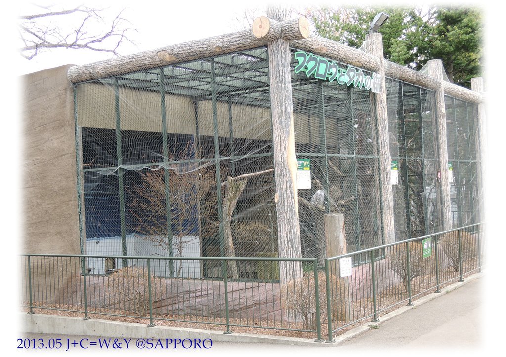 05.13 円山動物園 24.jpg