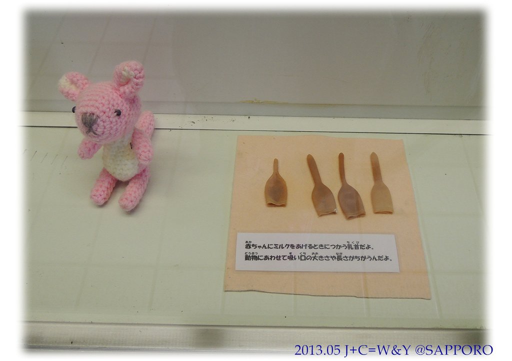 05.13 円山動物園 32.jpg