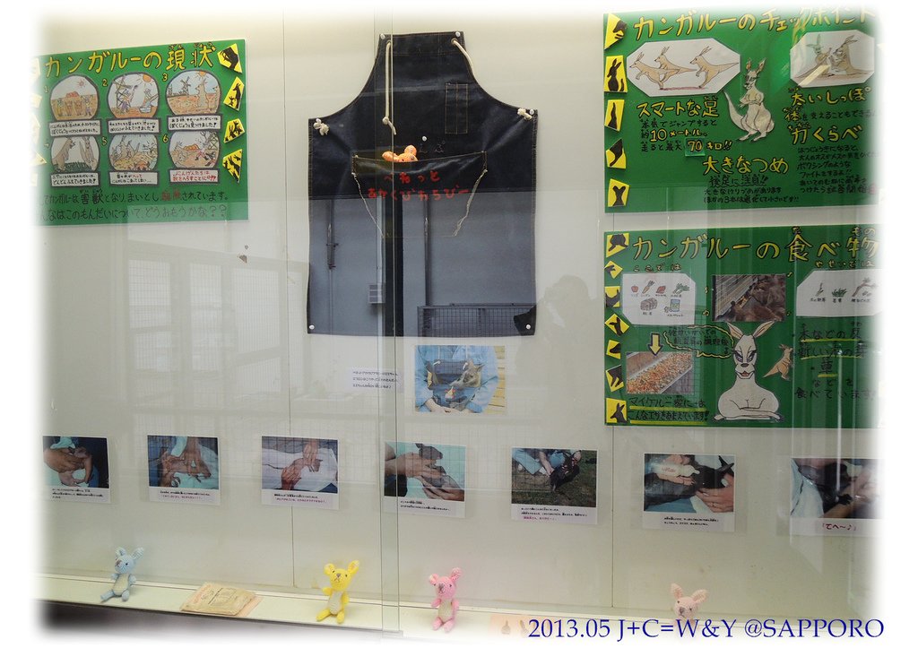 05.13 円山動物園 31.jpg