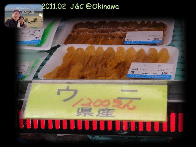 泡瀨漁港4.jpg