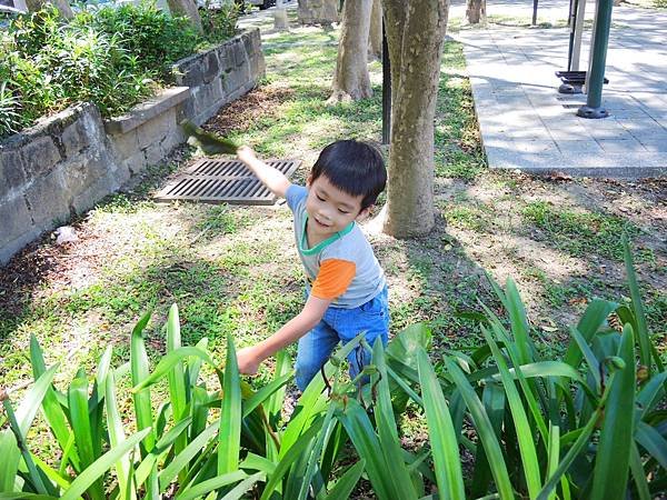 親子景點 ❤ 台北文山區興豐公園 ♪