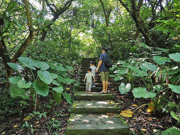 景點 ❤ 富陽自然生態公園 ♪ 台北市大安區景點 ♩