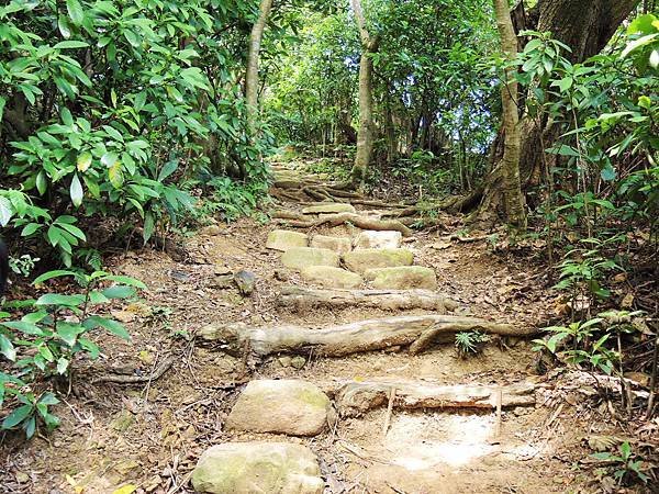 景點 ❤ 富陽自然生態公園 ♪ 台北市大安區景點 ♩