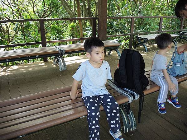 景點 ❤ 富陽自然生態公園 ♪ 台北市大安區景點 ♩