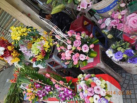 DSCN0699