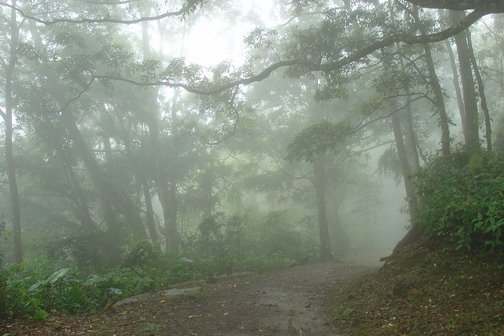 東眼山13.jpg