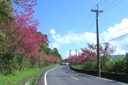 東眼山[調]01.jpg