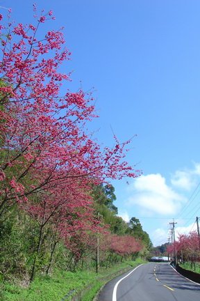 東眼山[調]03.jpg