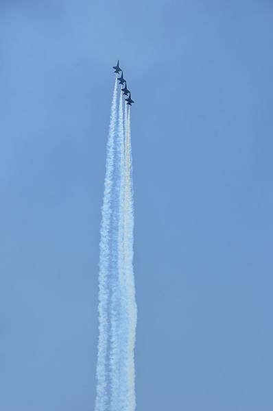 DSC_1985