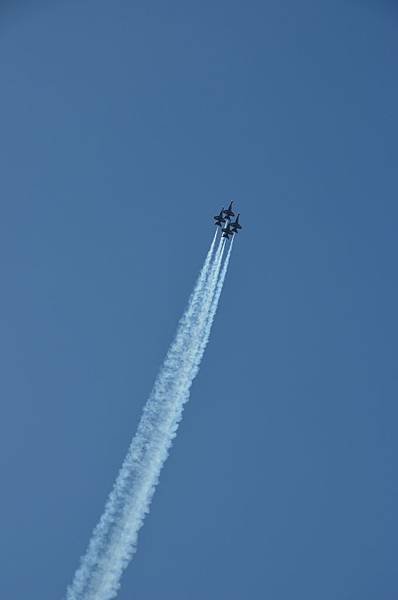 DSC_2018