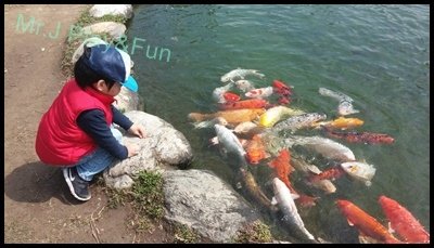 20160228_134135