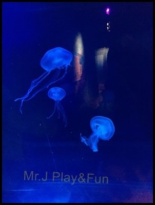 IMG_3379.JPG