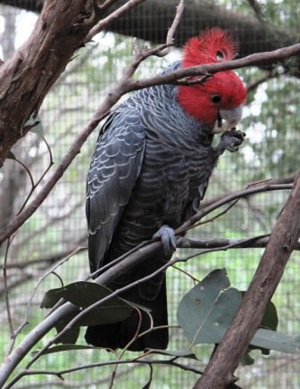 IMG_5317.jpg
