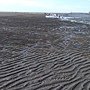 DSC_0313.JPG