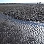 DSC_0309.JPG