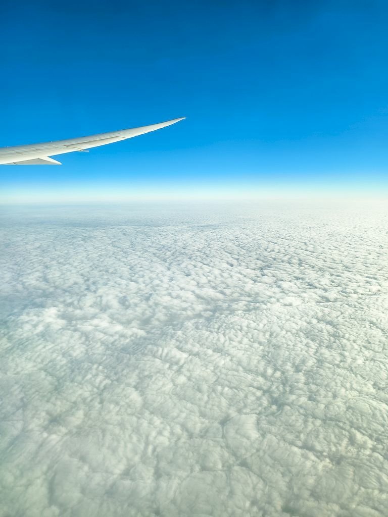20250118_24.jpg