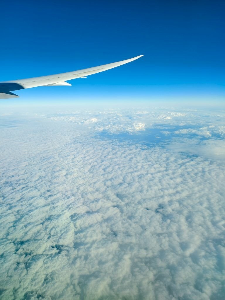 20250118_25.jpg
