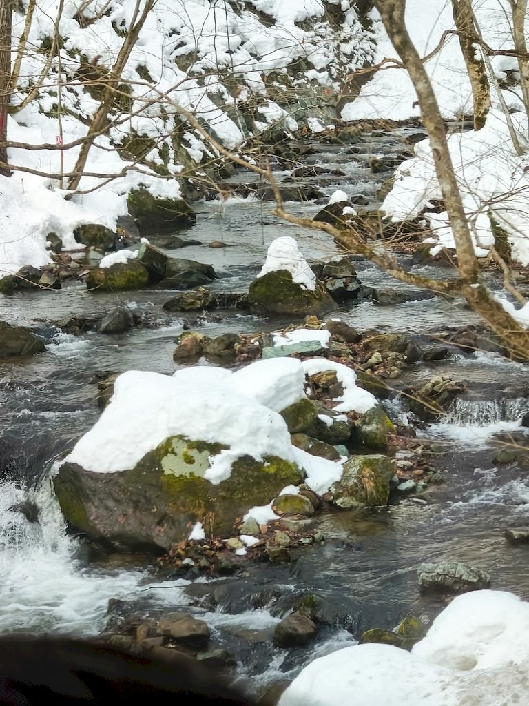 20250118_177.jpg