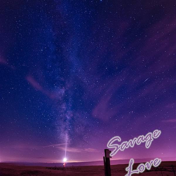 【國旻ABO】Savage Love (狂野的愛) (已完結