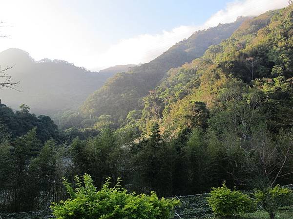 IMG_0789.JPG