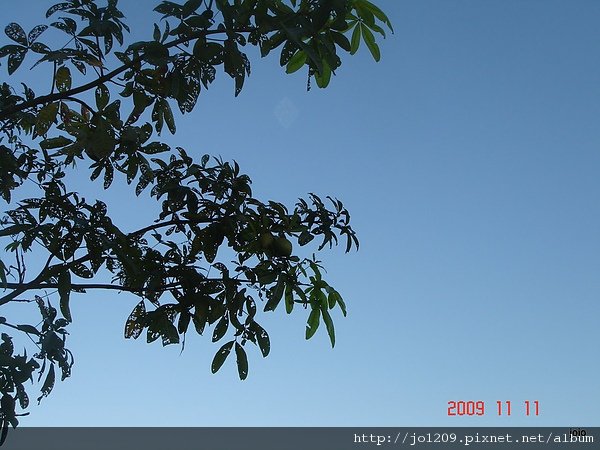 136.JPG