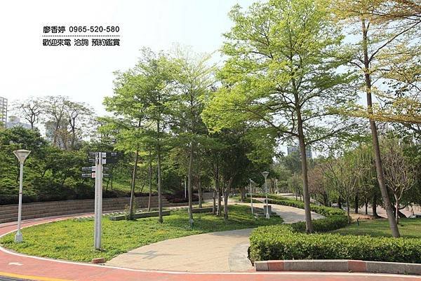 台中南屯區環境照片-台中文心森林公園(3).jpg