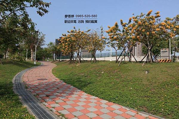 台中南屯區環境照片-台中文心森林公園(5).jpg