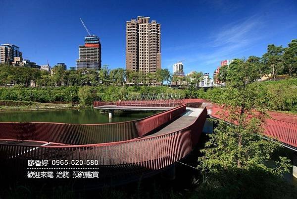 台中西屯區環境照片-秋紅谷廣場(11).jpg