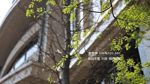 台中七期豪宅 沅林建設 名人硯 歡迎預約鑑賞 廖香婷0965520580(36).jpg
