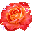 873350120070819154011500_000_640.jpg