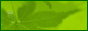 LogoMaker17.gif