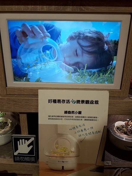 20180708_114209.jpg