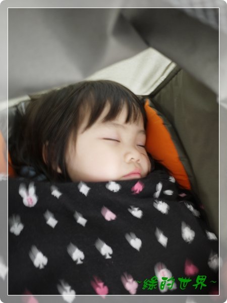 20110324112.JPG