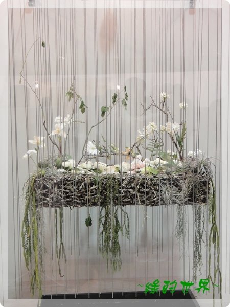 20110324206.JPG