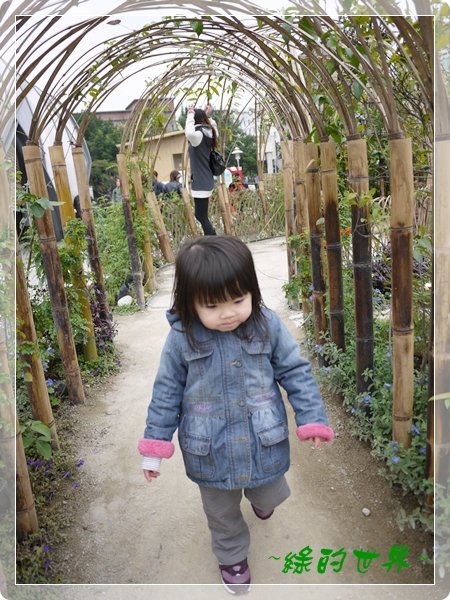 20110324085.JPG
