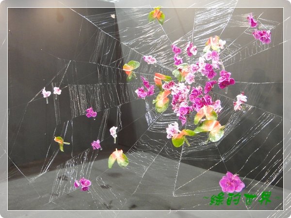 20110324210.JPG