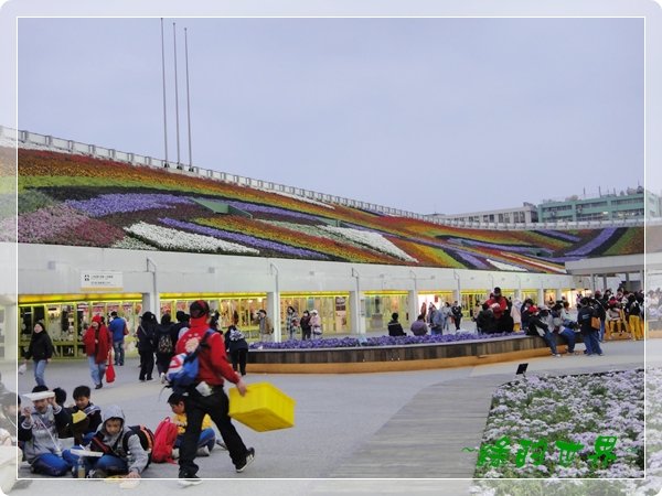 20110324199.JPG