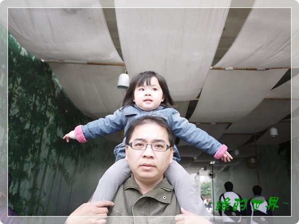 20110324110.JPG