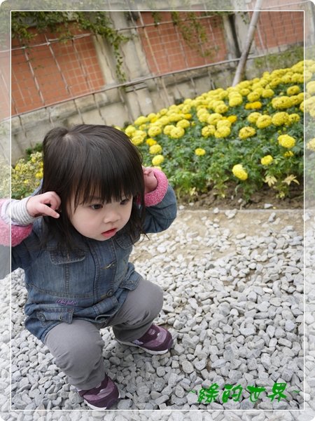 20110324105.JPG