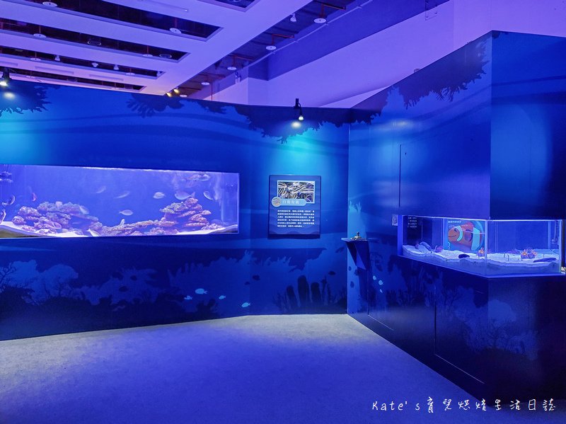 國立海科館主題館 基隆海科館特展 趣味海洋生物特展 海洋嘉年華 海科館海洋嘉年華 趣味海洋特展海科館14.jpg