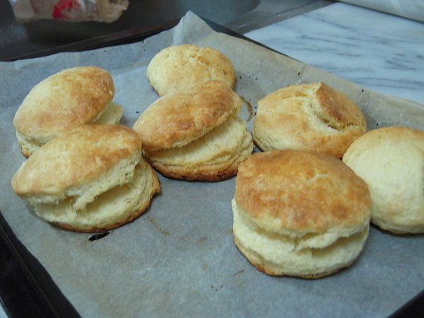 SCONE