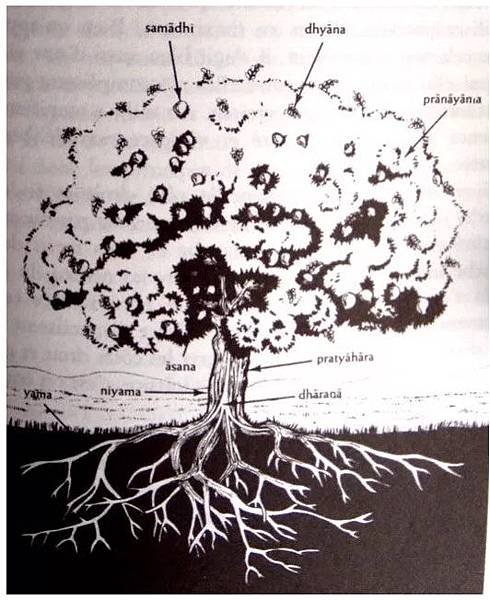 1491457278409.jpg