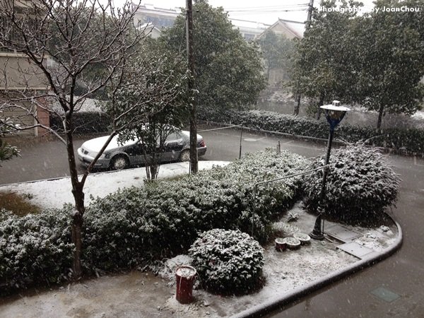 2012末冬雪-1